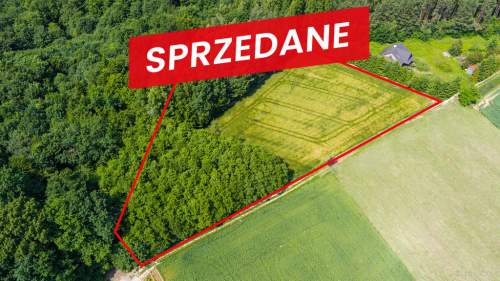 Na sprzedaż działka 79 arów- Domosławice