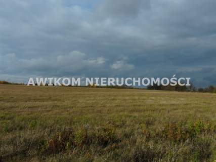 Działka rolna na sprzedaż, 162570 m2, Wycześniak