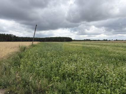 Działka rolna 1,21 ha, kształt trapezu, dojazd z g