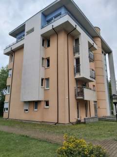 3 pokojowe mieszkanie na wynajem dla 2 studentek