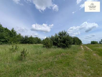 Działka z linią brzegową / zabudowa mieszkaniowa