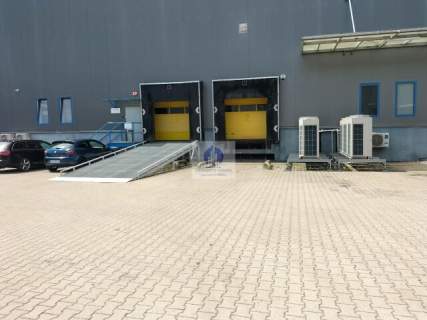 Warszawa Ursynów magazyn 292m2 do wynajęcia