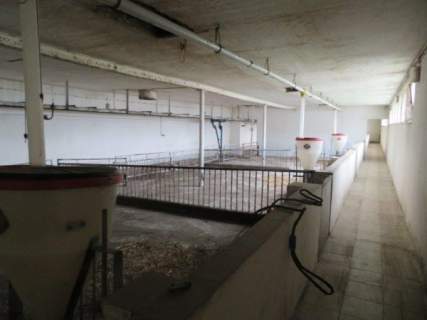 Dom na sprzedaż, 138,5 m2, Świba