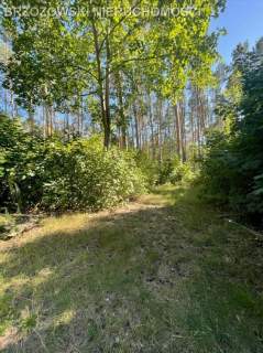 Wawer, Falenica, 1980 m2, PnB, wolnostojący