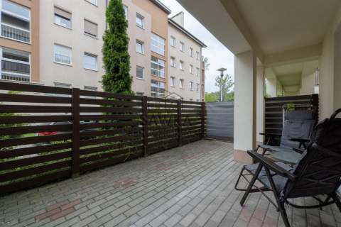 Mieszkanie do wynajęcia, 53,33 m2, Zielona Góra
