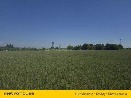 Działka z MPZP Nieżychowice k. Chojnic