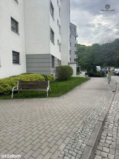2 pokoje z widokiem na las Pohulanka
