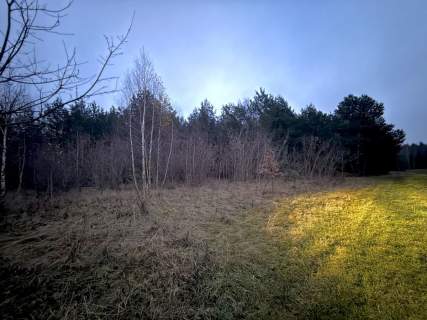Okazja Duża działka rolna w Borkowie 9802m2