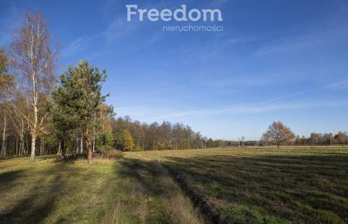 Działka 2883 m przy lesie Tarnobrzeg Ocice