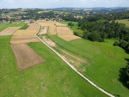 UROKLIWA DZIALKA 1,10 HA W JODŁOWEJ - OTOCZONA NATURĄ, Z P
