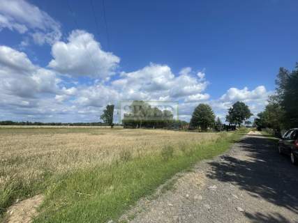 W otoczeniu blisko stawów ,lasu i rzeki .Tułowice