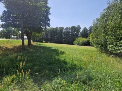 Działka inwestycyjna 1,11ha - Borysławice Zamk. sprzedam lub...