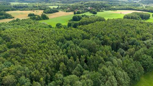 Działka siedliskowa na sprzedaż, 60200 m2, Nowe Mieczysławy