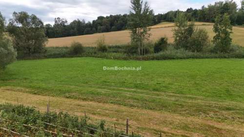 62ar Gruszów Raciechowice Wzetka