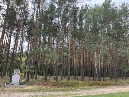 Działka rolna z samosiejkami