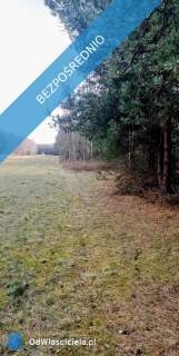 OKAZJA Prywatny las 1,62 ha tylko 1h 15 min od Warszawy