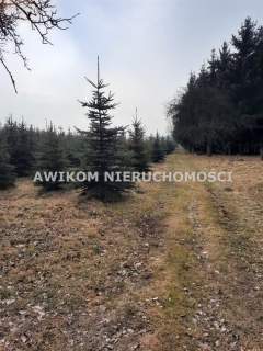 Działka inwestycyjna na sprzedaż, 43467 m2, Powązki