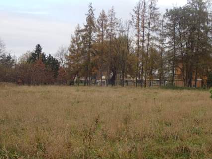 Sprzedaż niezabudowanej nieruchomości w atrakcyjne