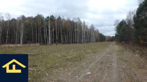 Działka budowlana w gminie Wiazowna
