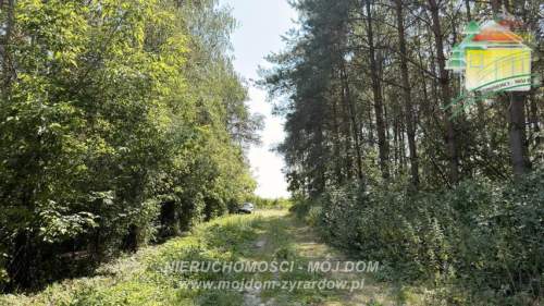 Działka w miejscowości Kaźmierów, gm. Sochaczew