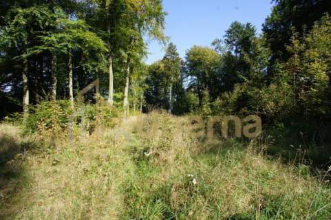 Działki nad jeziorem Dobra Nowogardzka