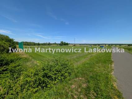 Działki budowlane - Trzebnice koło Chocianowa