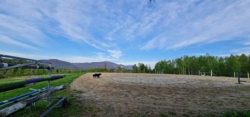Bieszczady-Strzebowiska