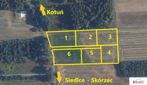 6 działek wydane WZ w Chlewiskach, gm. Kotuń