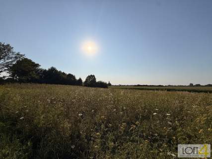 98 arów przestrzeń z dużym potencjałem