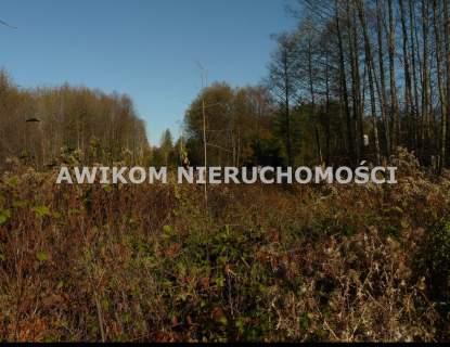 Działka budowlana na sprzedaż, 2641 m2, Budy Zaklasztorne