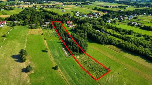 Siedlisko w Orzechówce