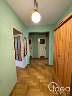 3 pok z balkonem, zielone Pogodno
