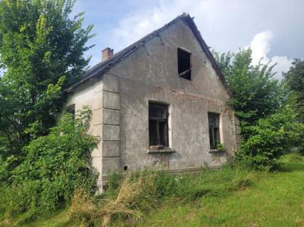 Siedlisko do własnej aranżacji