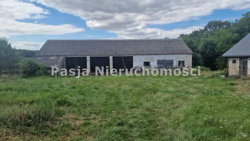 Wyjątkowy teren inwestycyjny - stadnina