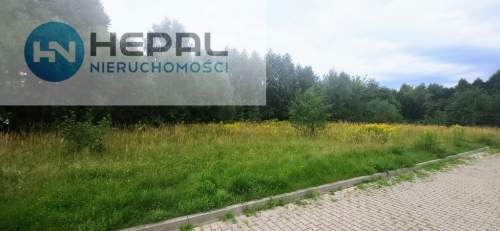 Działka gm. Zagnańsk, Jaworze