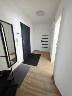 Lokal biurowy do wynajecia