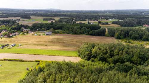 Działka leśna Łęki Dolne - gm. Pilzno 
