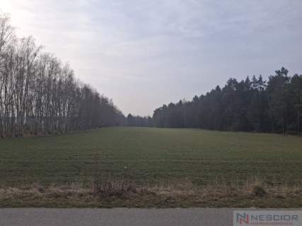 Dwie działki budowlane po 1000 m w Boroszkowie