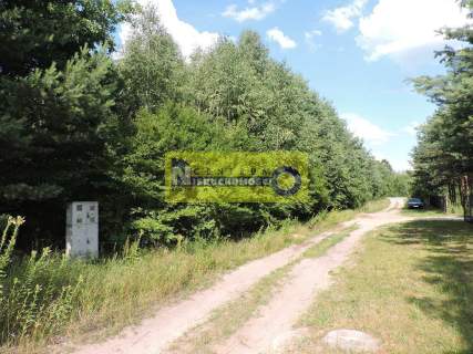 DZIAŁKA NAD ZALEWEM W DOMANIOWIE - BRUDNÓW