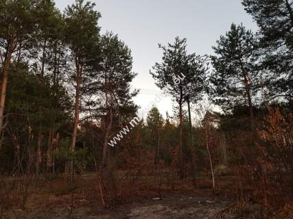 Działka budowlana 1053 m prostokątna, media Warto