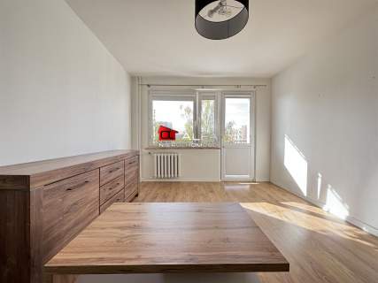 Do wynajęcia duża kawalerka z balkonem 