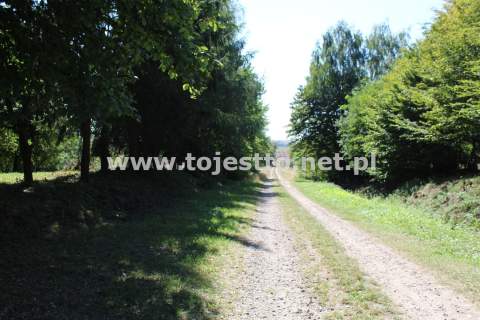 Dom na sprzedaż, 92 m2, Wysokie