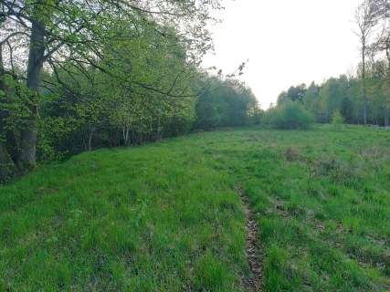 Działka budowlana Krzeszów 38 arów
