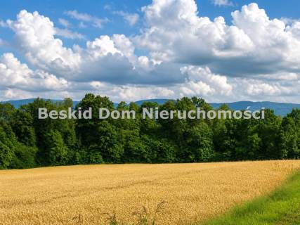 Pisarzowice- ciche i spokojne miejsce