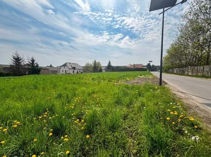 Duża, prostokątna działka blisko lasu 
