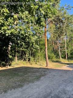 Wawer, Międzylesie, 2000 m2, MPZP, mieszkaniowa