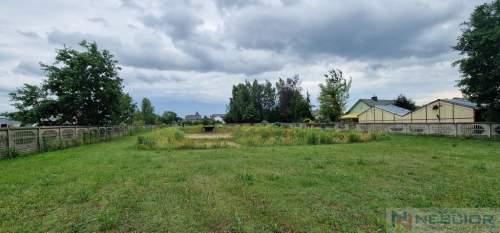 Duża działka usługowa 6000m2 w Grezów