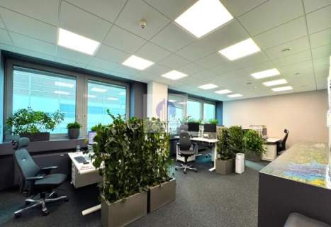 Śródmieście lokal biurowy 935 m2 do wynajęcia
