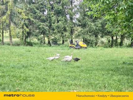Dochodowa agroturystyka NOWOGRÓDEK