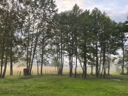 Działka leśna w pięknej okolicy